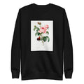 Black Sweater Cabbage Rose - Pierre-Joseph Redoute 1759 Signature