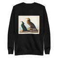 Black Sweater Violet-Green Cormorant And Townsend S Cormorant - John James Audubon 1827 Signature