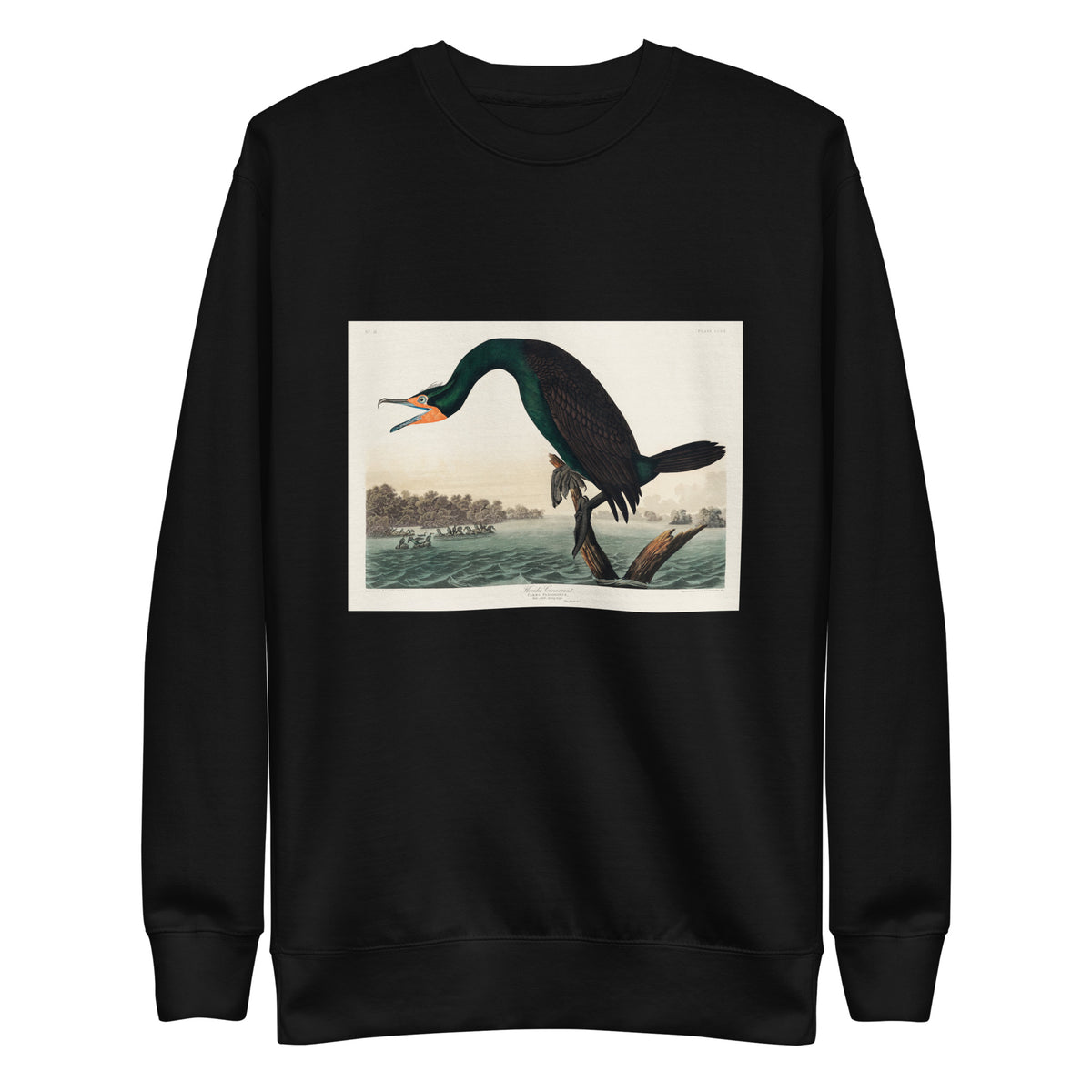 Black Sweater Florida Cormorant Signature