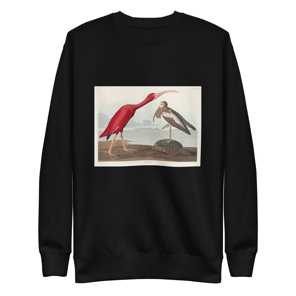 Black Sweater Scarlet Ibis - John James Audubon 1827 Signature