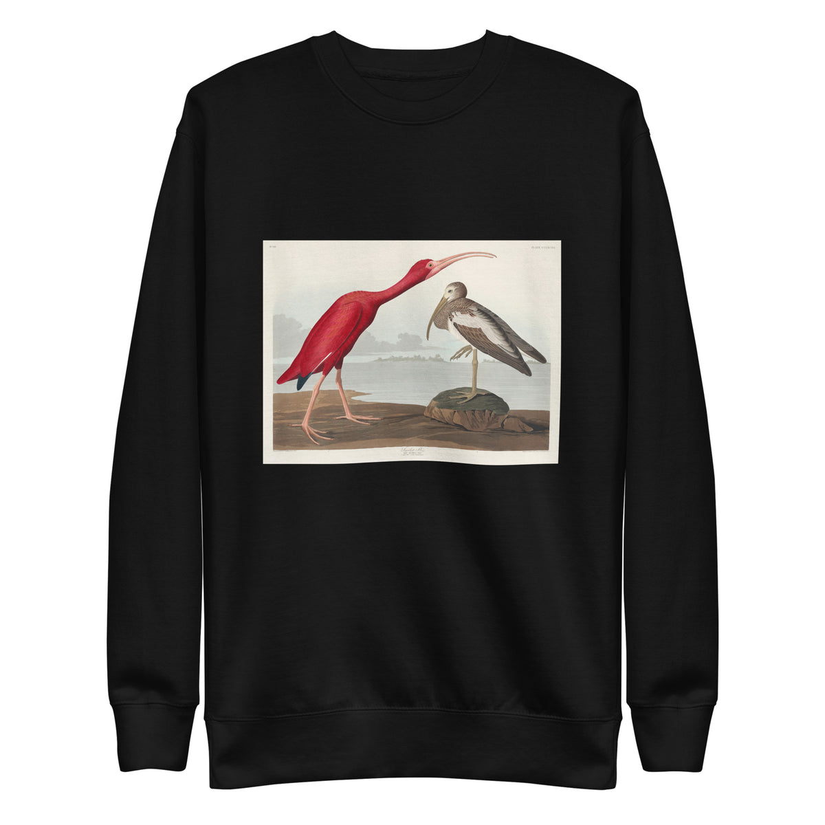 Black Sweater Scarlet Ibis - John James Audubon 1827 Signature
