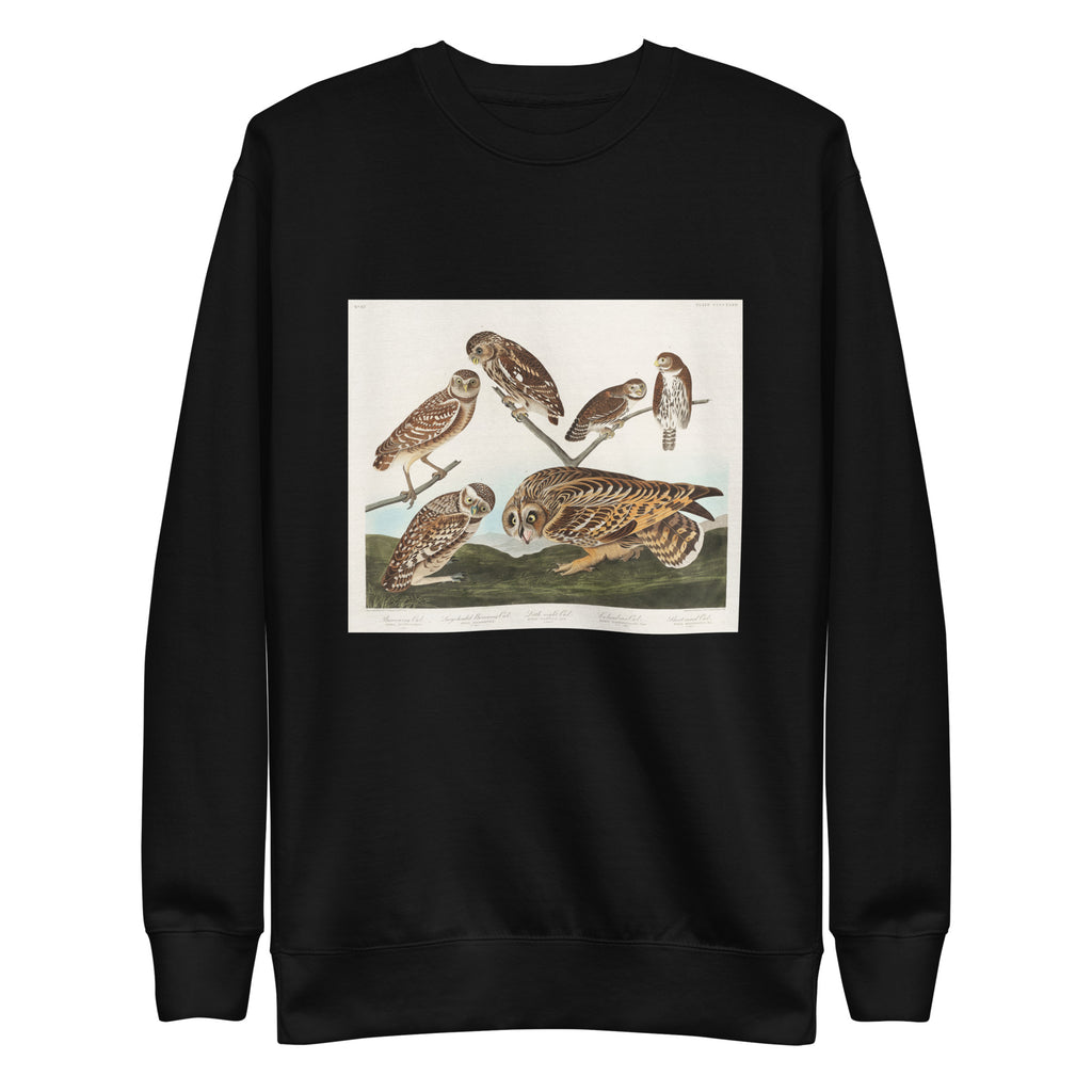 Black Sweater Burrowing Owl Large-Headed Burrowing Owl Little Night Owl Columbian Owl And Short-Cared Owl - John James Audubon 1827 Signature