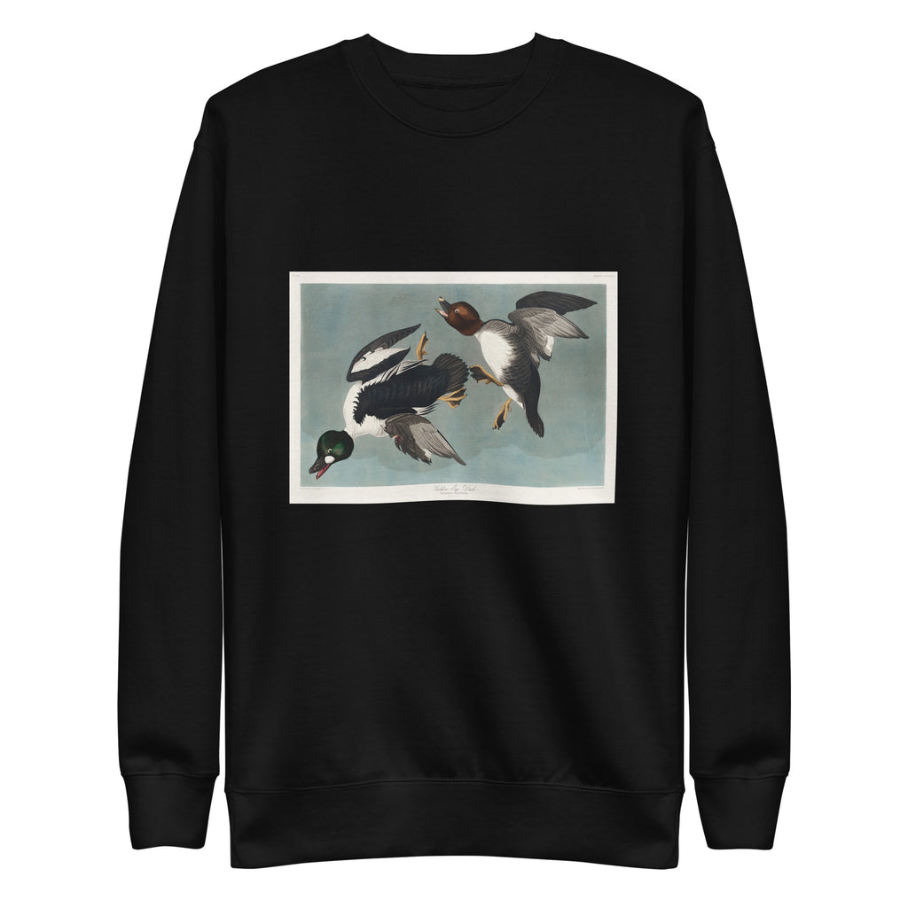 Black Sweater Golden-Eye Duck Signature