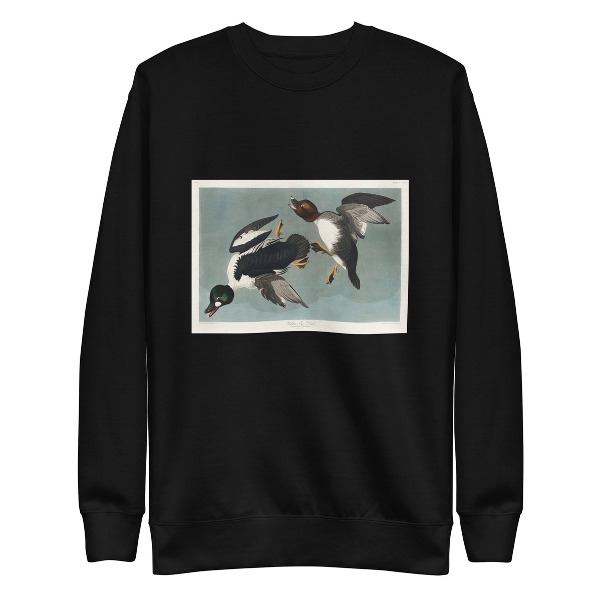 Black Sweater Golden-Eye Duck Signature