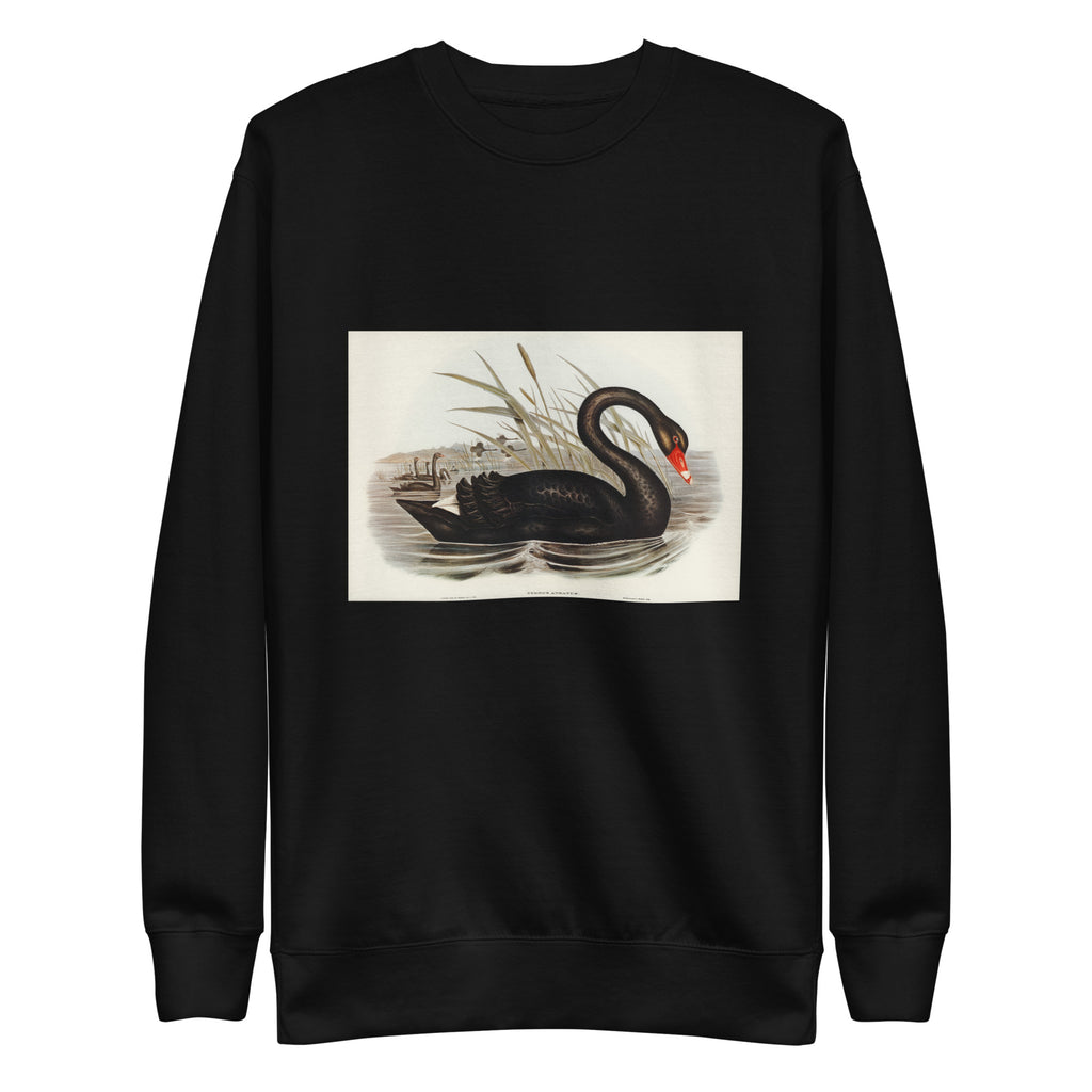 Black Sweater Black Swan Cygnus Atratus Illustrated - Elizabeth Gould 1804 Signature