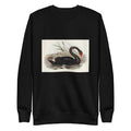 Black Sweater Black Swan Cygnus Atratus Illustrated - Elizabeth Gould 1804 Signature