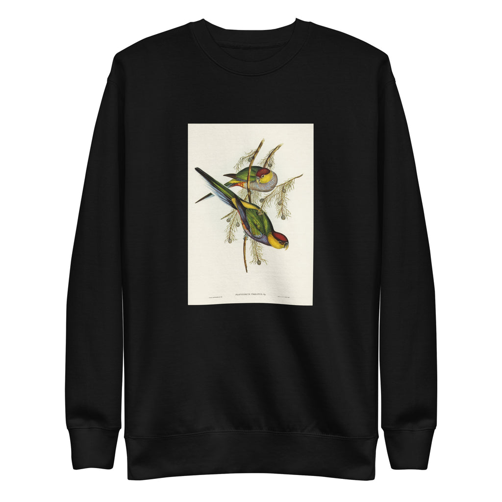 Black Sweater Red-Capped Parakeet Platycercus Pileatus Illustrated - Elizabeth Gould 1804 Signature