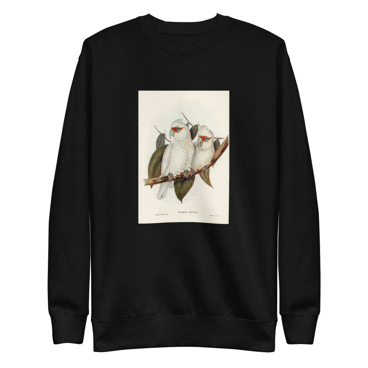Black Sweater Long-Billed Cockatoo Licmetis Nasicus Illustrated - Elizabeth Gould 1804 Signature