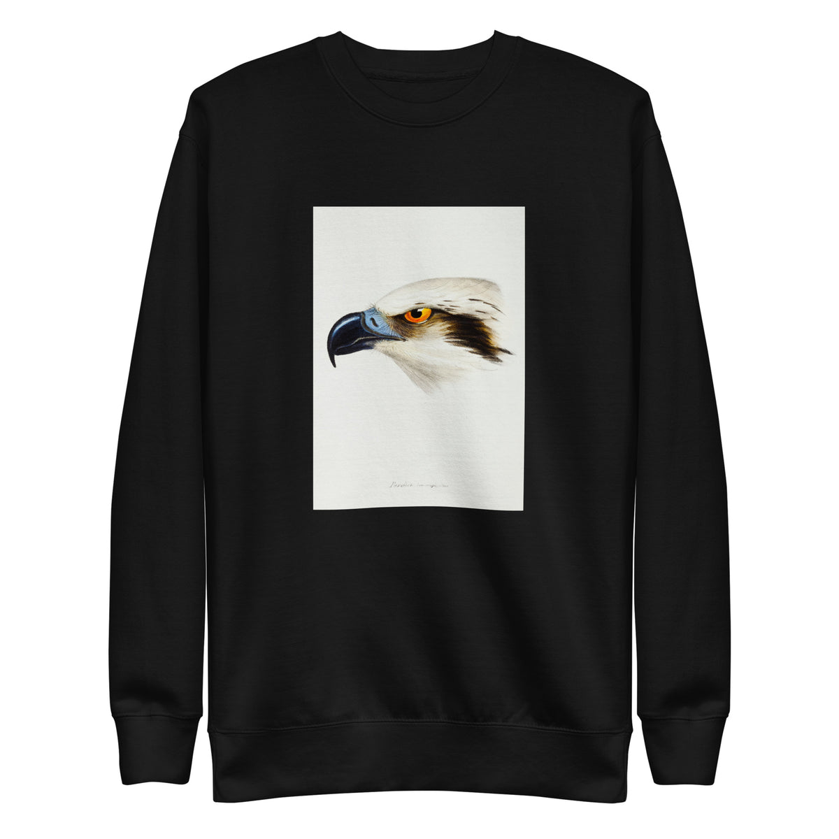 Black Sweater White-Headed Osprey Pandion Leucocephalus Illustrated Signature