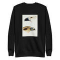 Black Sweater 1 White-Bellied Sea Eagle Haliaeetus Leucogaster 2 Whistling Kite Haliastur Sphenurus Illustrated Signature