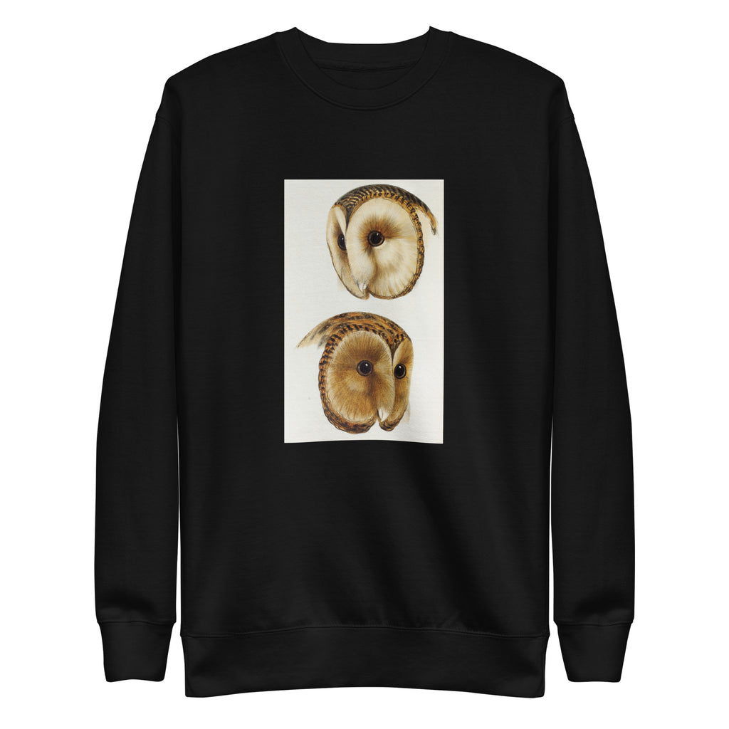 Black Sweater 1 Masked Barn Owl Strix Personata 2 Tasmanian Masked Owl Strix Castanops Illustrated Signature