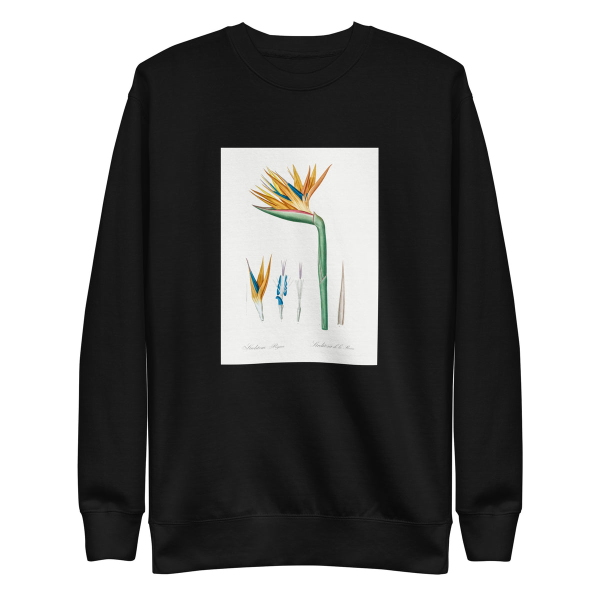 Black Sweater Bird Of Paradise Illustration Signature