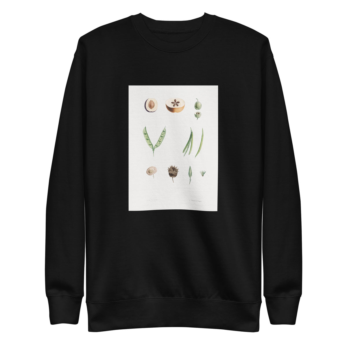 Black Sweater Plants Part - Pierre-Joseph Redoute 1759 Signature