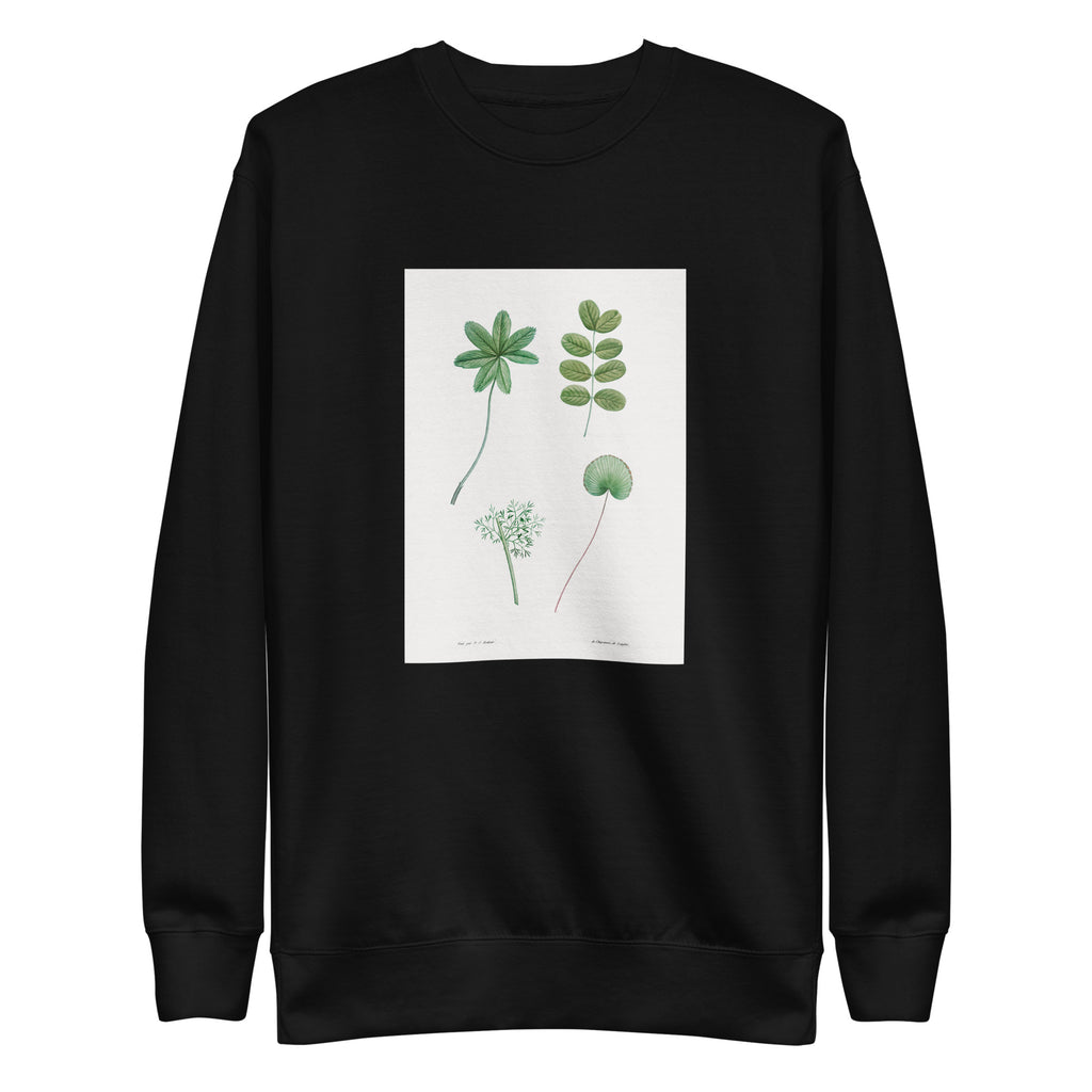 Black Sweater Tree Leaf Set - Pierre-Joseph Redoute 1759 Signature