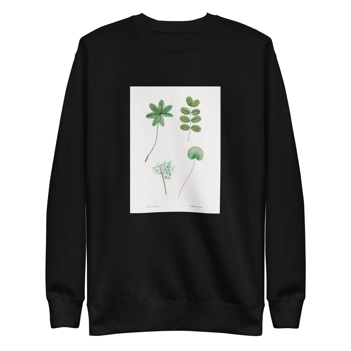 Black Sweater Tree Leaf Set - Pierre-Joseph Redoute 1759 Signature