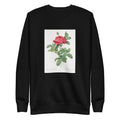 Black Sweater Rosa Gallica Pontiana Also Known As Bridge Rose Signature
