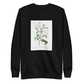 Black Sweater Rosa Campanulata Alba Also Known As Pink Bellflowers To White Flowers Signature