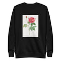Black Sweater French Rose Also Known As Ordinary Provins Rosebush Rosa Galluca Offuenalis Signature