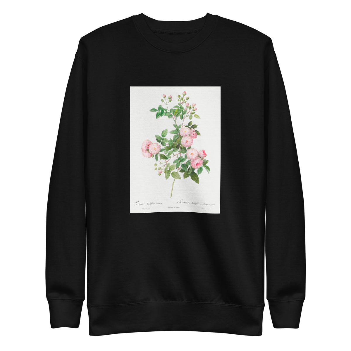 Black Sweater Flesh-Pink Multiflora Rosa Multiflora Carnea Signature