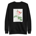 Black Sweater Cabbage Rose Also Known As One Hundred-Leaved Rose Rosa Centifolia Signature