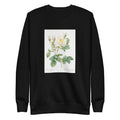 Black Sweater Rosa X Alba Also Known As The White Leaf Of Fleury Rosa Alba Foliacea Signature