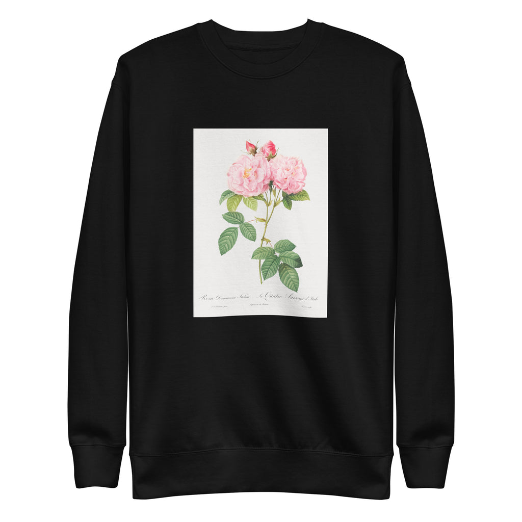 Black Sweater Italian Damask Rose Also Known As The Four Seasons Of Italy Rosa Damascena Italica Signature