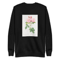 Black Sweater Italian Damask Rose Also Known As The Four Seasons Of Italy Rosa Damascena Italica Signature