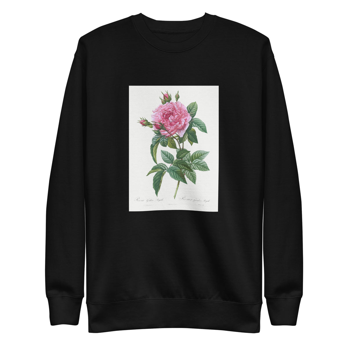 Black Sweater Gallic Rose Rosa Gallica Regalis Signature