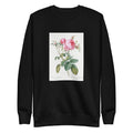 Black Sweater Rose De Mai Rosa Centifolia Foliacea Signature