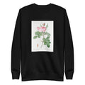 Black Sweater Rosa Bifera Officinalis Also Known As Rose Of Perfume Signature