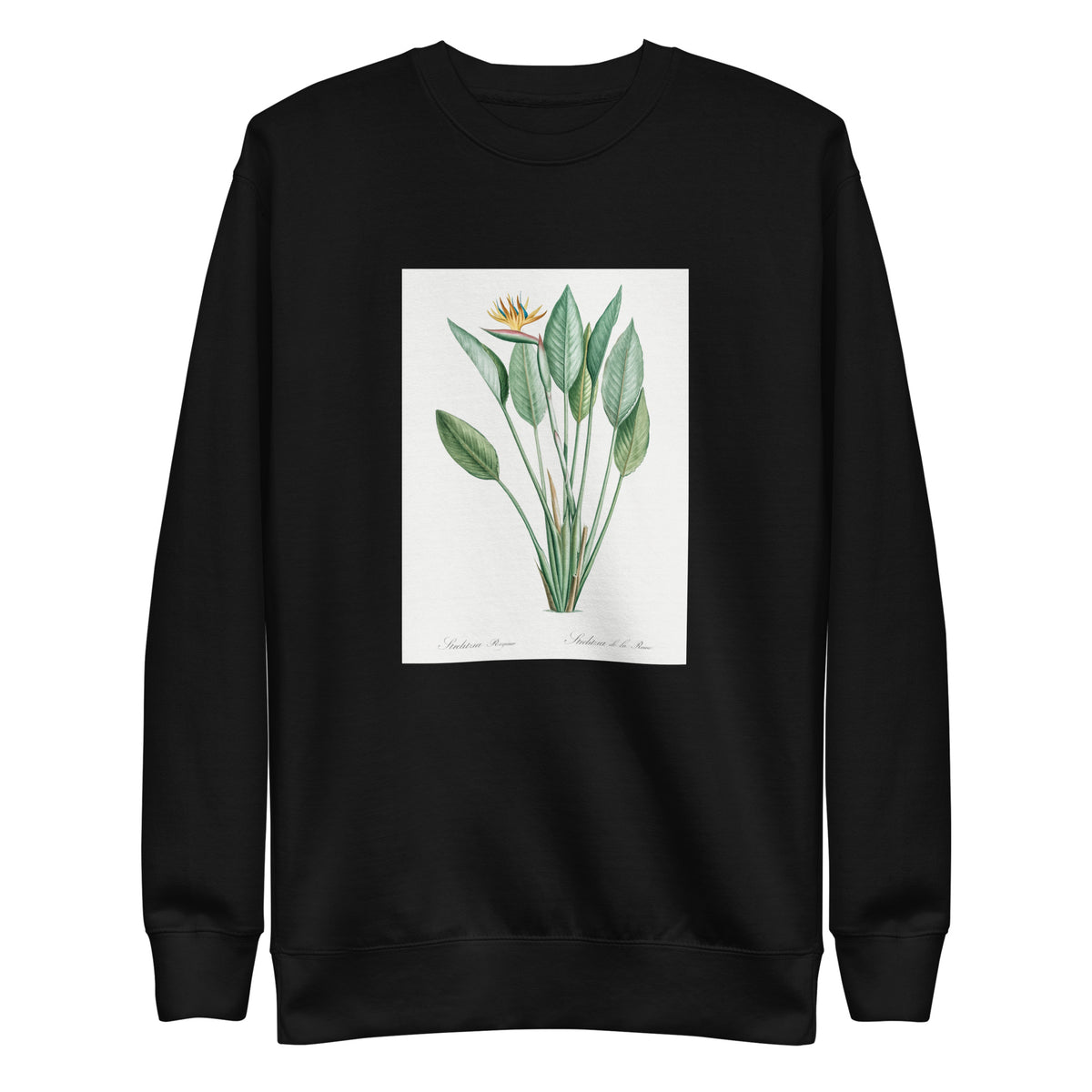 Black Sweater Bird Of Paradise Illustration II Signature