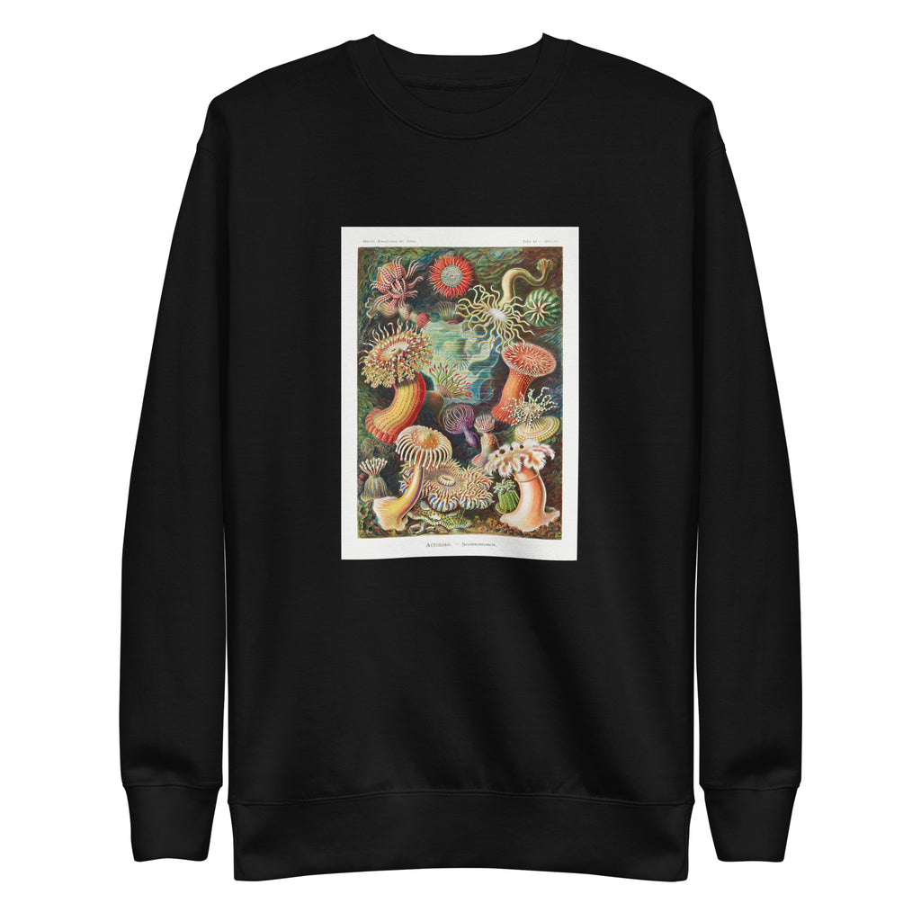 Black Sweater Actiniae Seeanemonen Signature