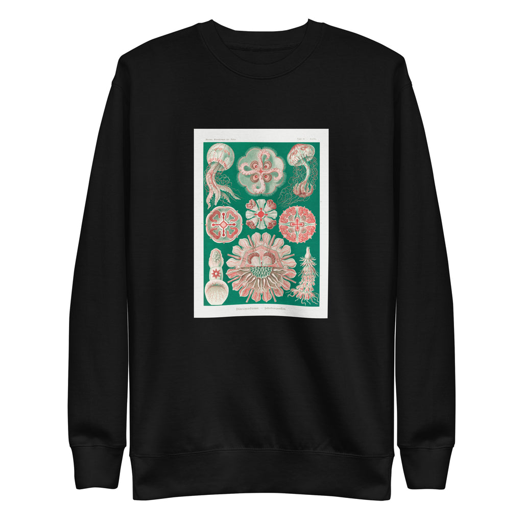 Black Sweater Discomedusae Schweibenquallen Signature