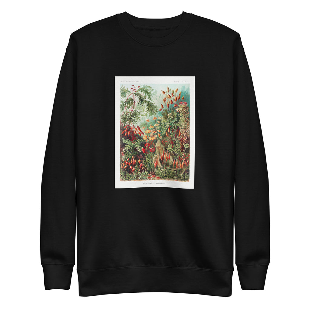 Black Sweater Muscinae Laubmoose A Giltsch Gem Signature
