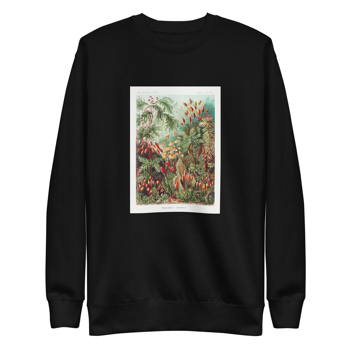 Black Sweater Muscinae Laubmoose A Giltsch Gem Signature