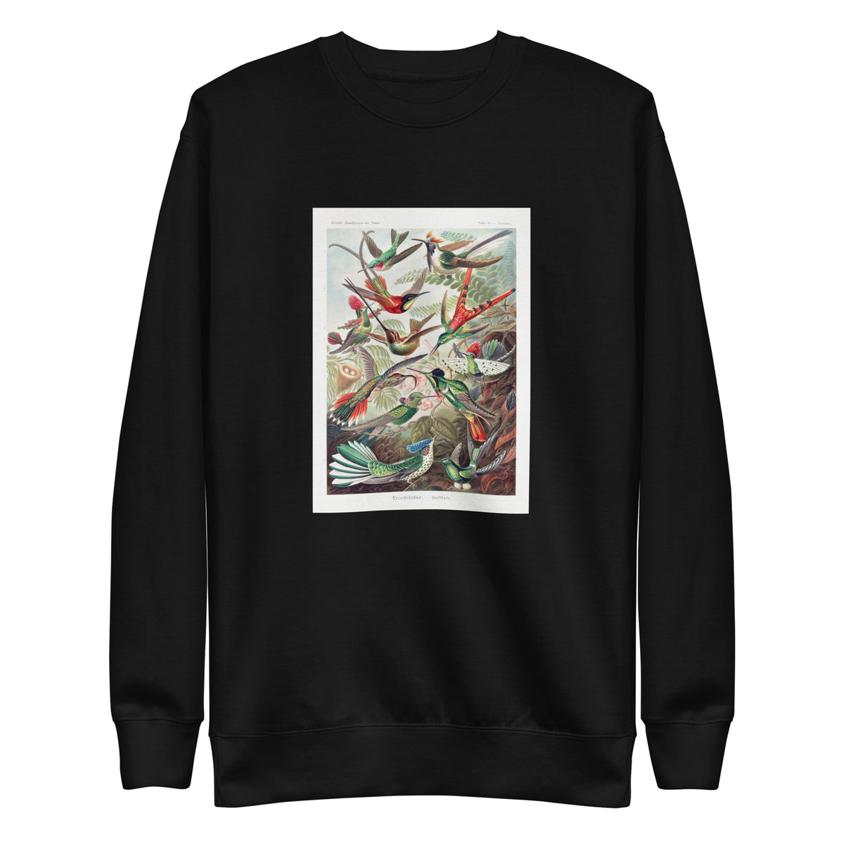 Black Sweater Trochilidae Kolibris Signature