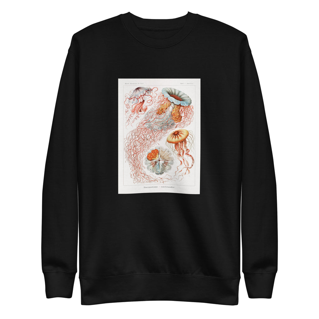 Black Sweater Discomedusae Scheibenquallen Signature