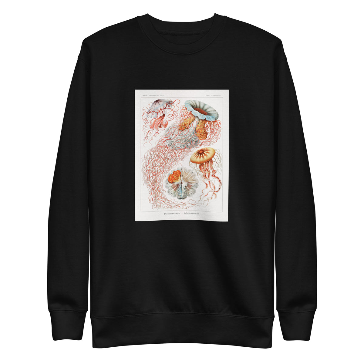 Black Sweater Discomedusae Scheibenquallen Signature