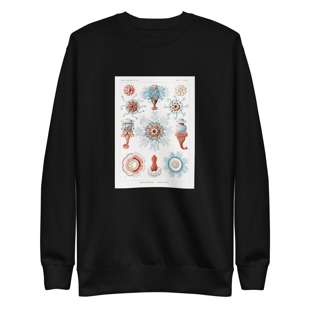 Black Sweater Siphonophorae Staatsquallen Signature