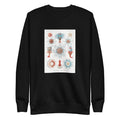 Black Sweater Siphonophorae Staatsquallen Signature