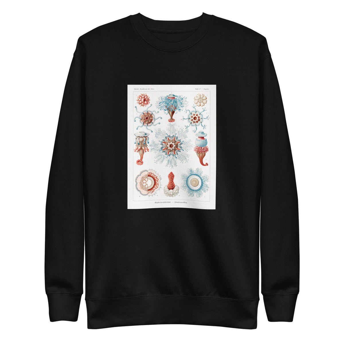 Black Sweater Siphonophorae Staatsquallen Signature