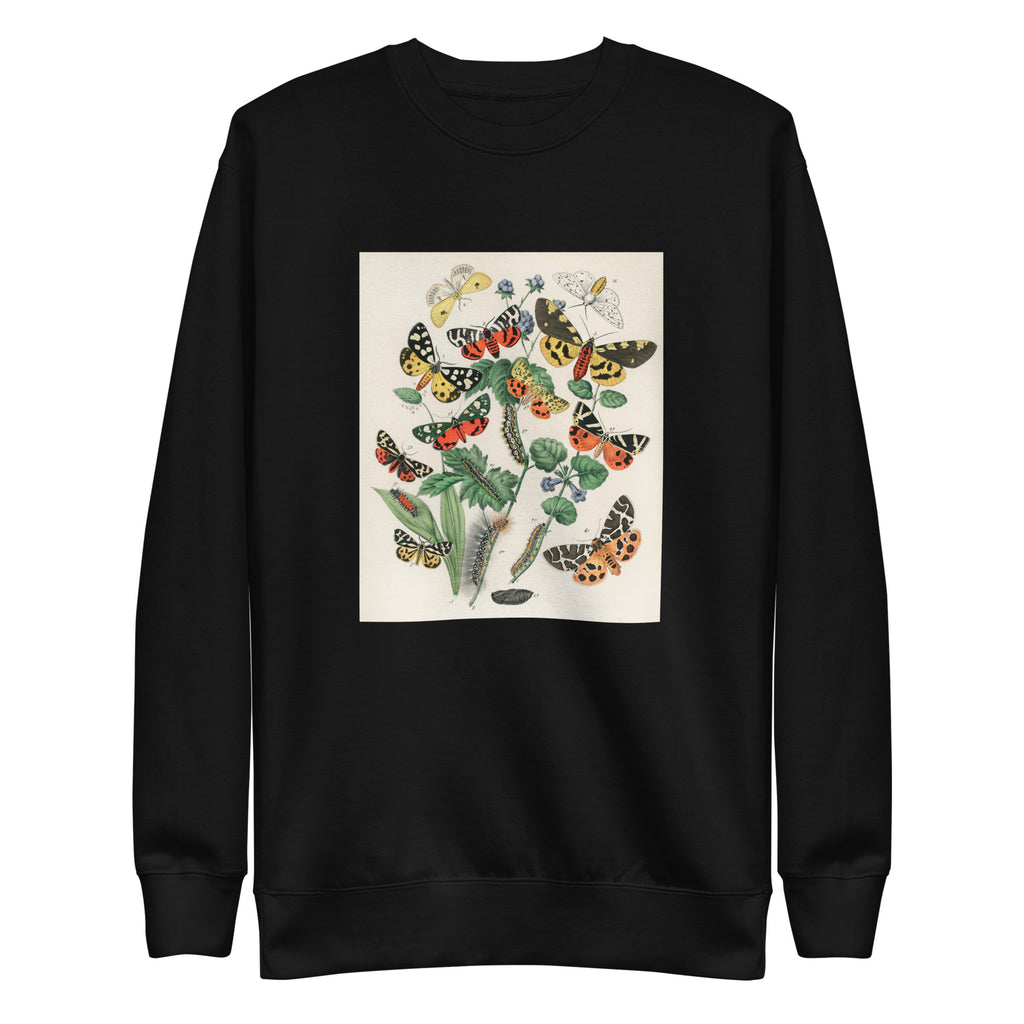 Black Sweater Illustrations - William Forsell Kirby 1882 Signature