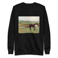 Black Sweater Horse In A Meadow Signature