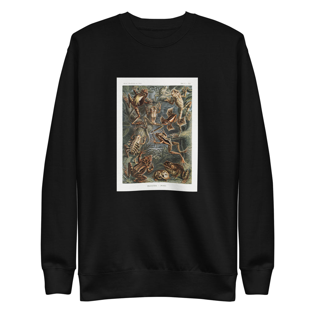 Black Sweater Batrachia Frosche Signature