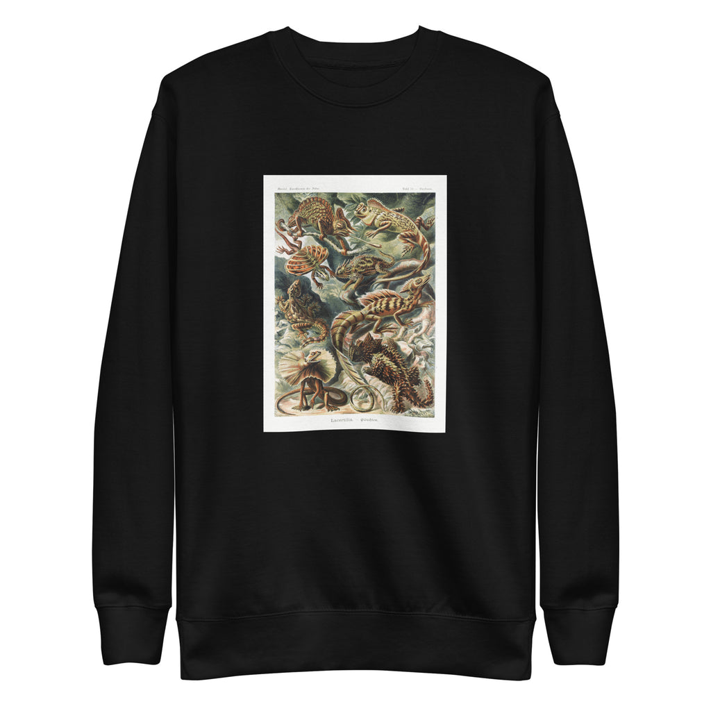 Black Sweater Lacertilia Eidechlen Signature