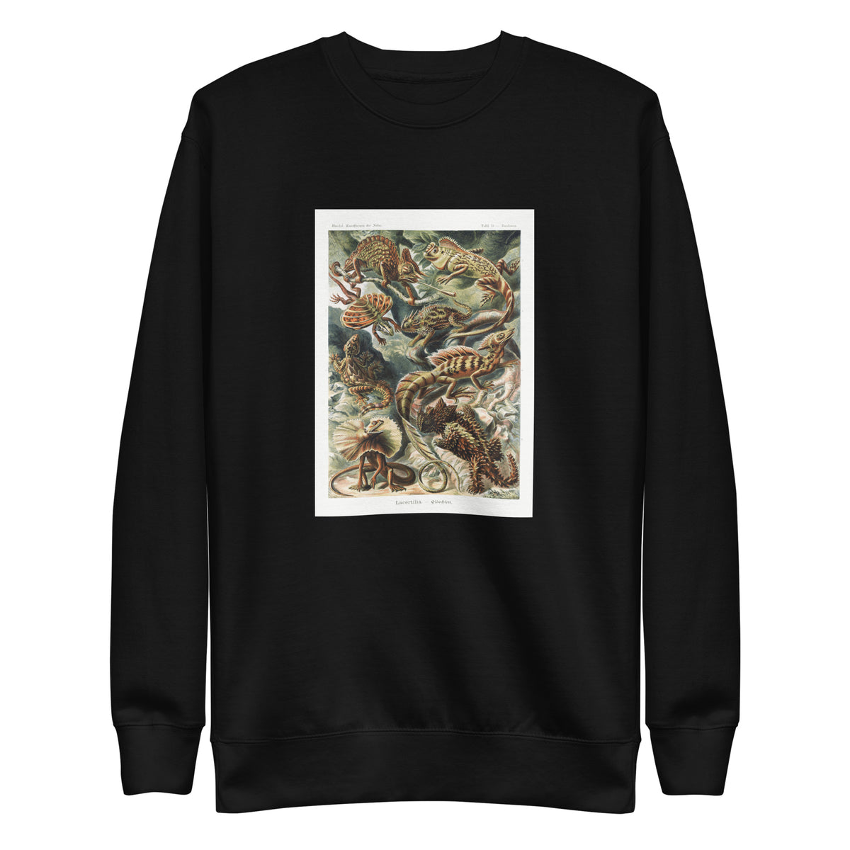 Black Sweater Lacertilia Eidechlen Signature