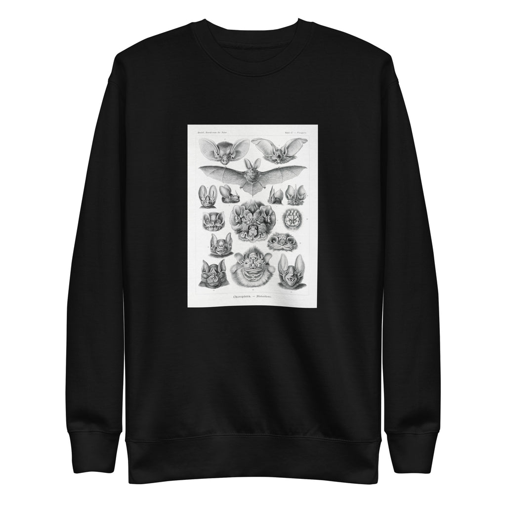 Black Sweater Chiroptera Fledertiere Signature