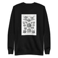 Black Sweater Chiroptera Fledertiere Signature