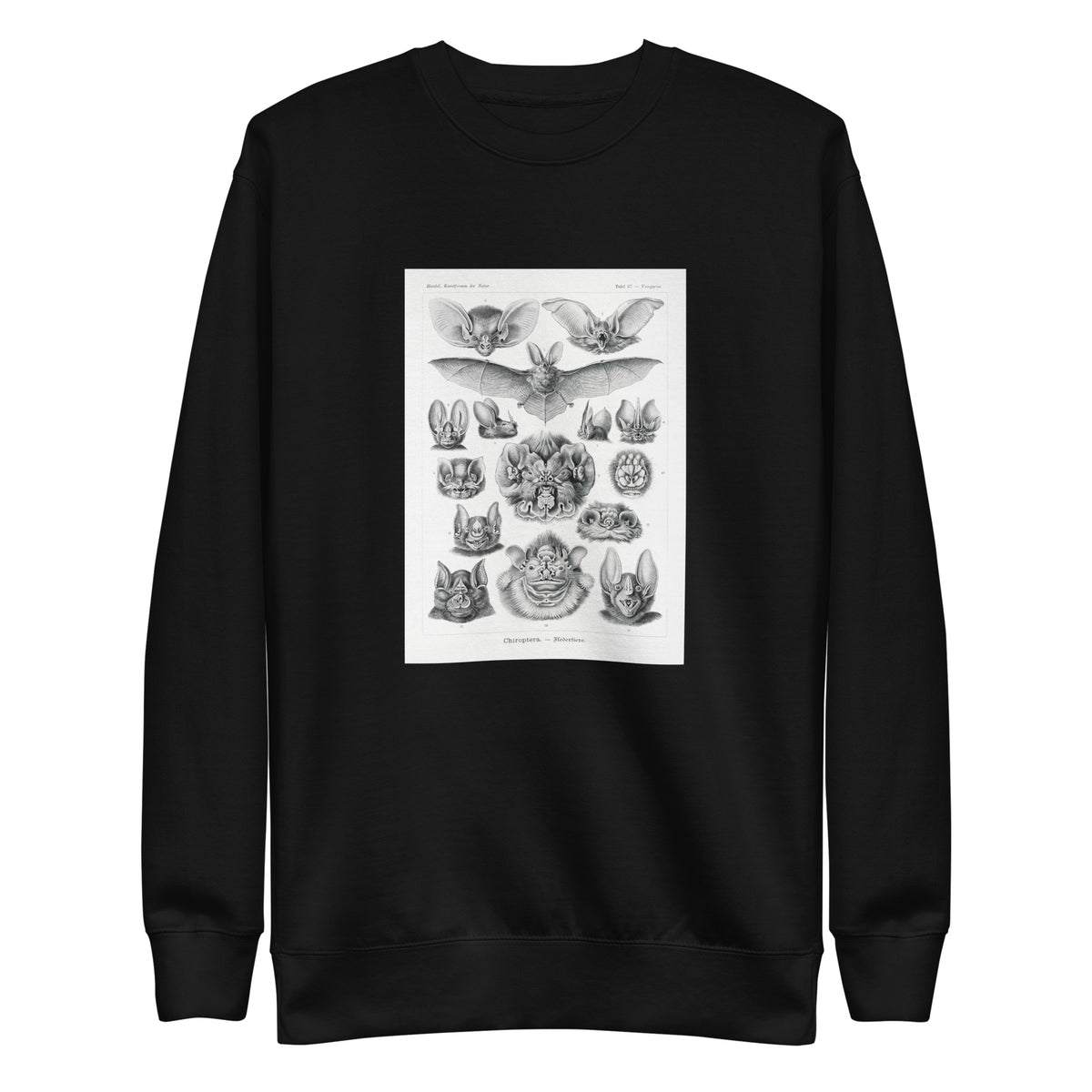 Black Sweater Chiroptera Fledertiere Signature