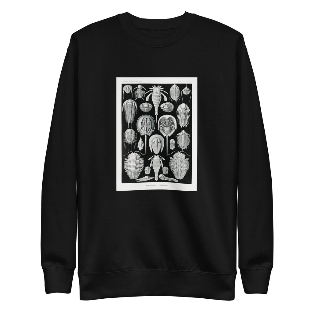 Black Sweater Aspidonia Schildtiere Signature
